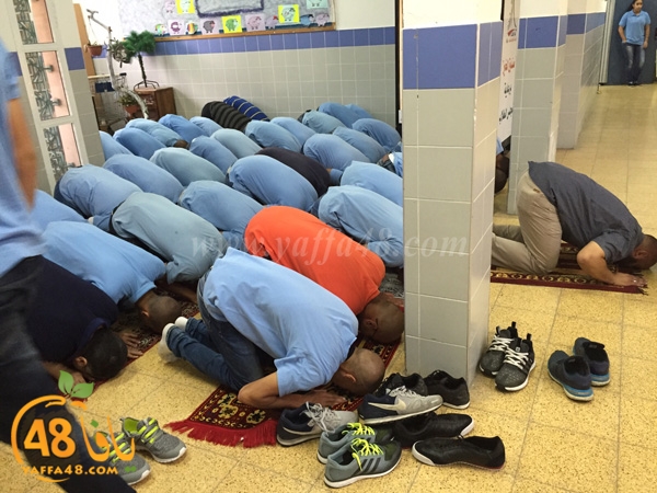 shamela salah dohr (3).jpg